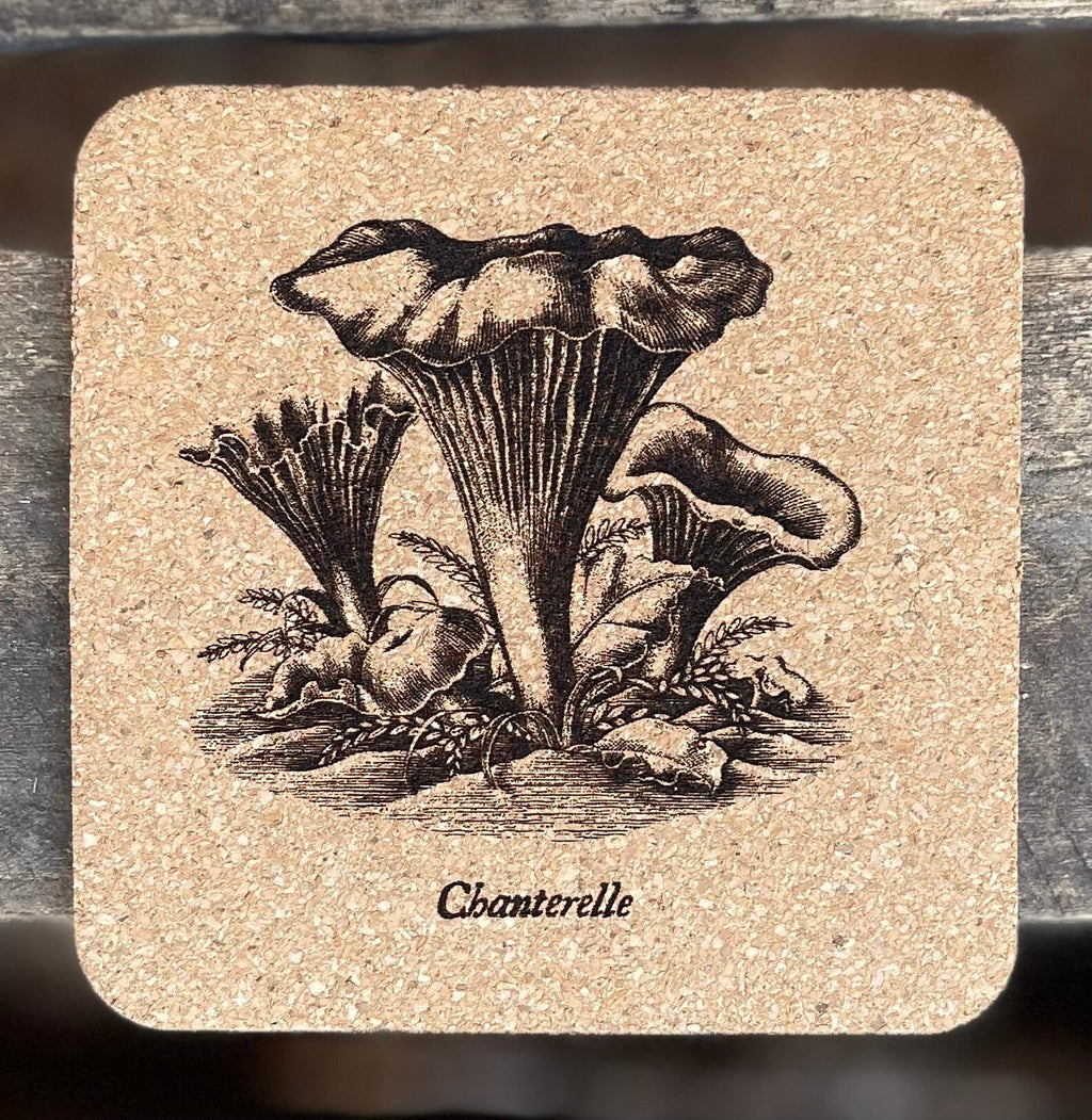 Mushroom Coasters Set | Laser Engraved Cork Set of 4