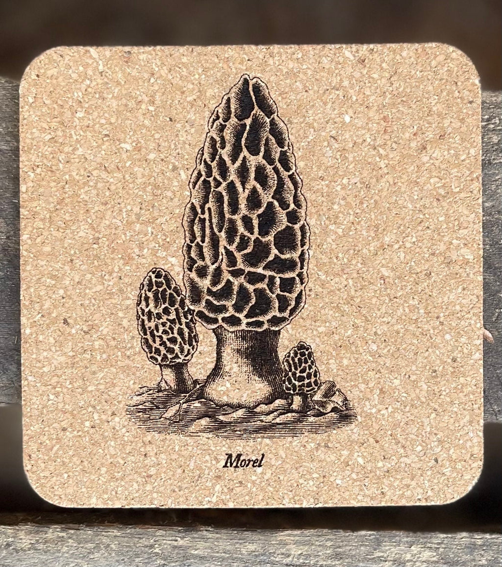 Mushroom Coasters Set | Laser Engraved Cork Set of 4