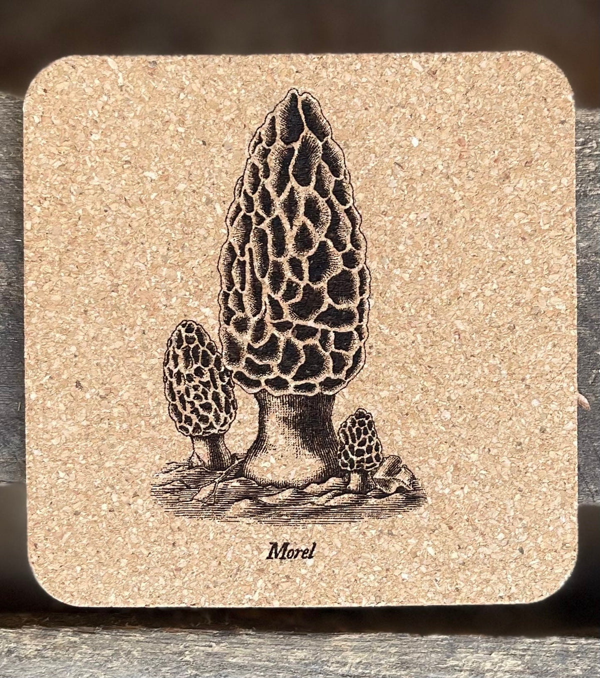 Mushroom Coasters Set | Laser Engraved Cork Set of 4